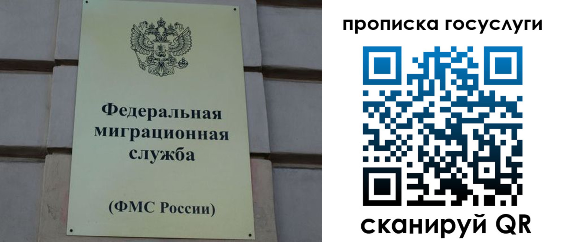 прописка ребенка в Снежногорске